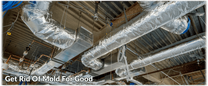 Air Duct Mold Removal in McKinney
